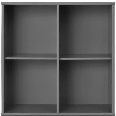 Mistral - Modul 025 - Antrasiitti